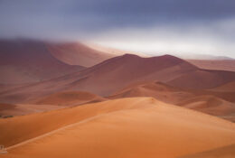 Namibia_August (24/135)